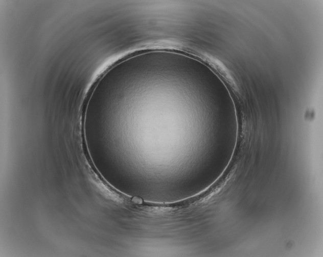 X0000093511184200710261150