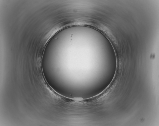 X0000093511185200710261150