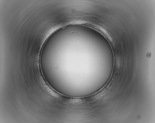 X0000093511186200710261150
