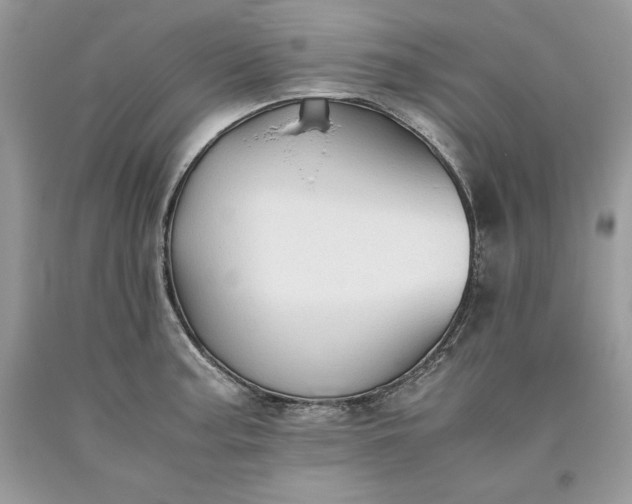 X0000093511187200710261150