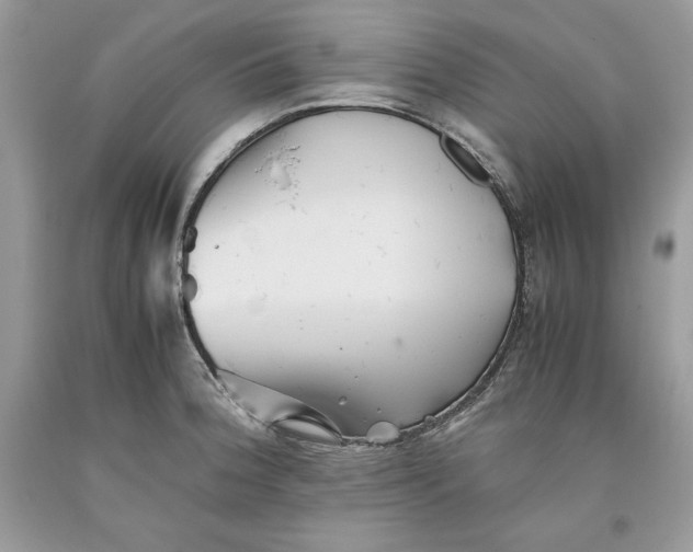 X0000093511188200710261150