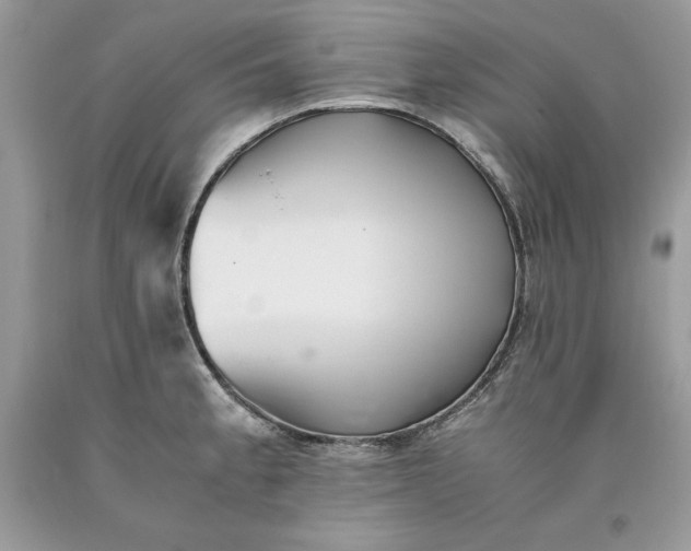 X0000093511189200710261150