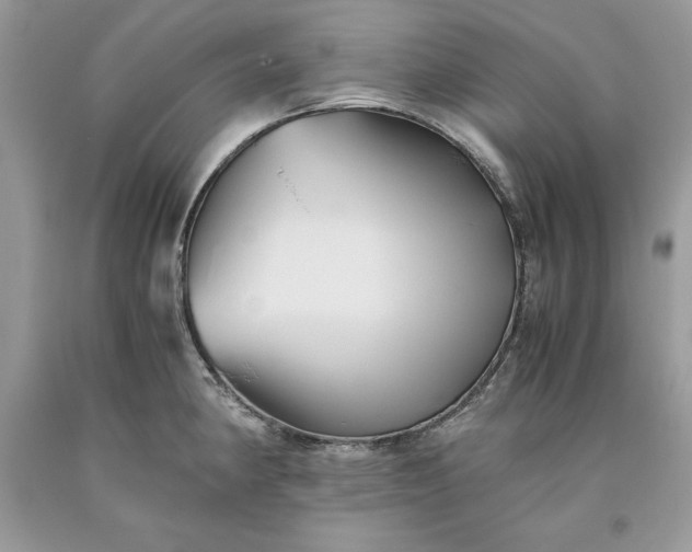 X0000093511190200710261150