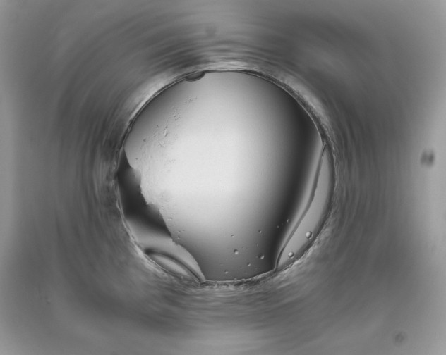 X0000093511193200710261150
