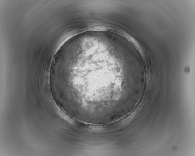 X0000093511194200710261150
