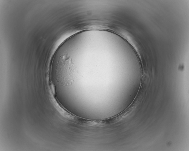 X0000093511195200710261150