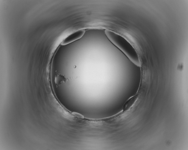 X0000093511196200710261150