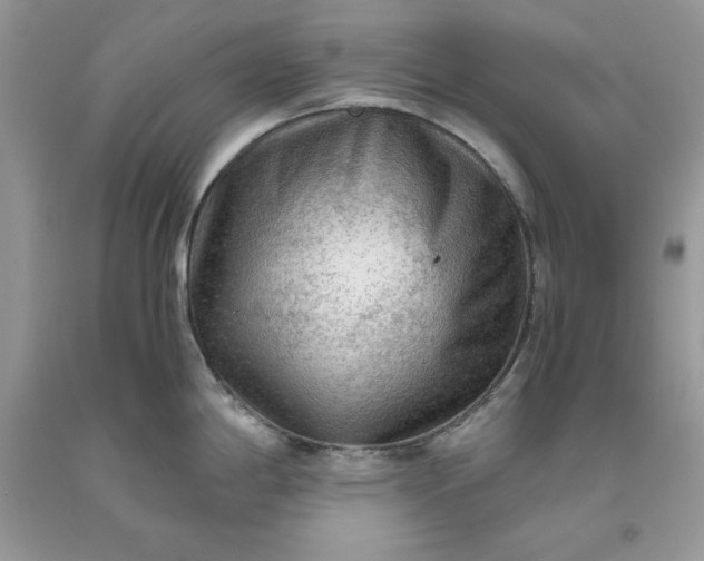 X0000093511198200710261150