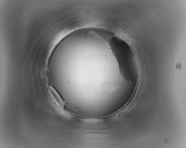 X0000093511200200710261150