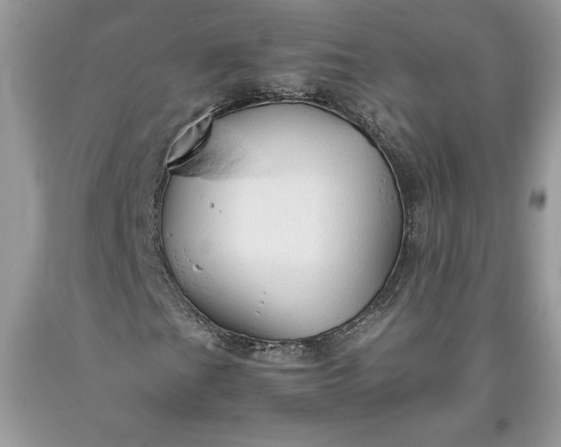 X0000093511201200710261149