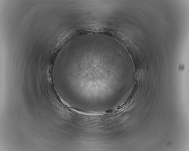 X0000093511202200710261149