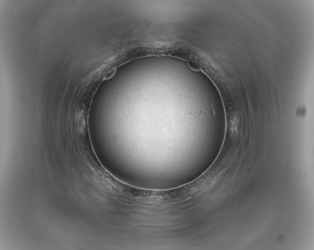 X0000093511204200710261149