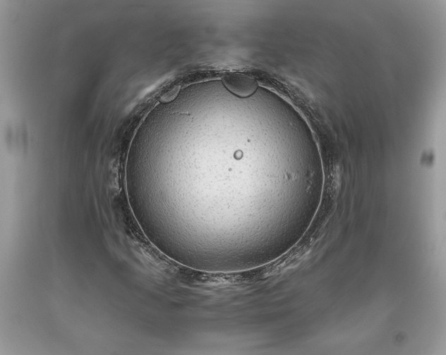 X0000093511205200710261149