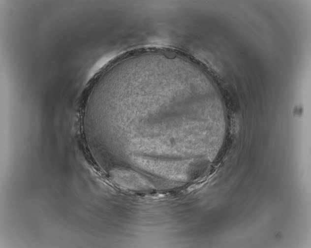 X0000093511208200710261149