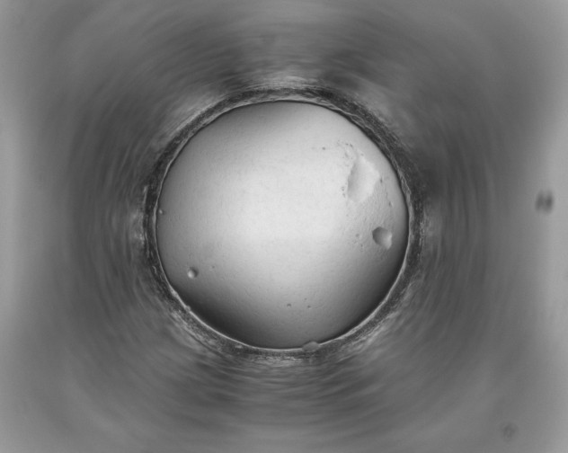 X0000093511209200710261149