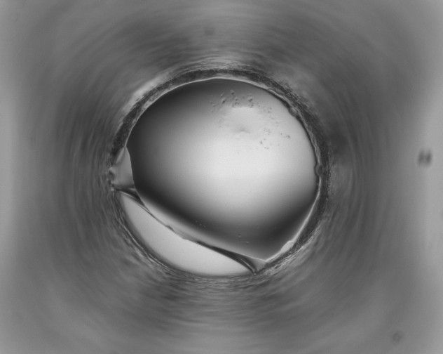 X0000093511210200710261150