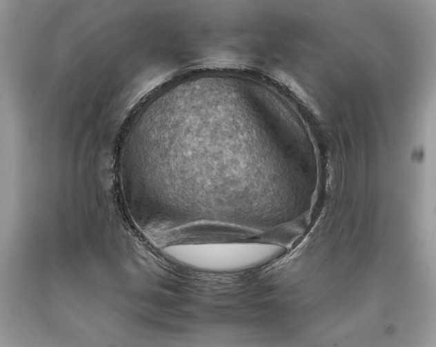 X0000093511213200710261150