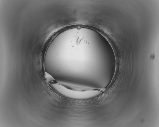 X0000093511214200710261150