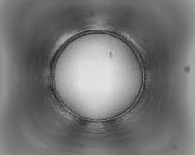 X0000093511215200710261150