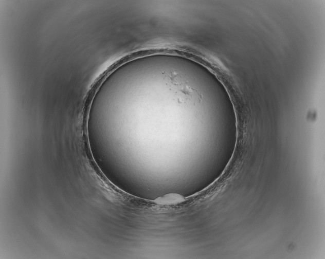 X0000093511216200710261150