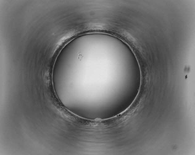 X0000093511218200710261150