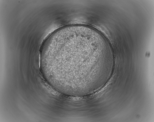 X0000093511219200710261150