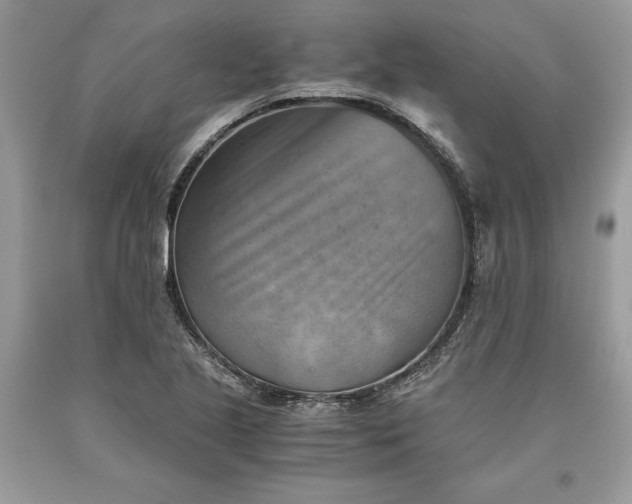 X0000093511221200710261150