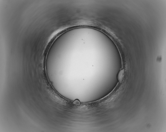 X0000093511222200710261150