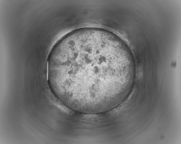 X0000093511223200710261150