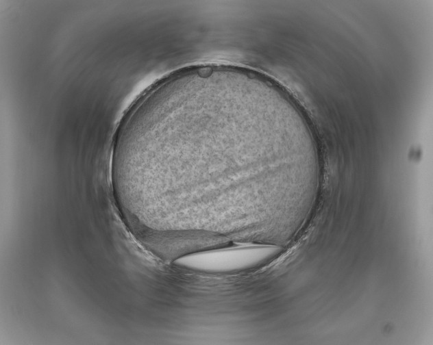 X0000093511224200710261150