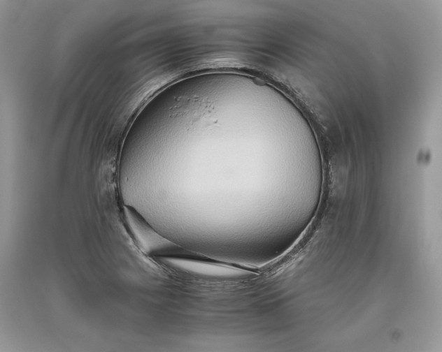 X0000093511225200710261150
