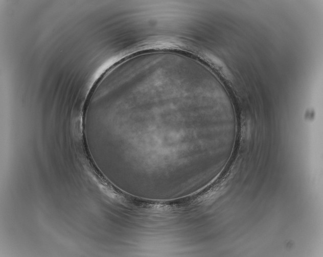X0000093511226200710261150