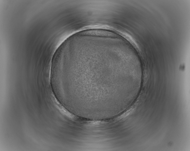 X0000093511228200710261150