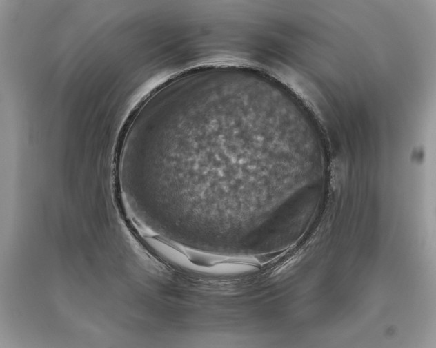 X0000093511229200710261150