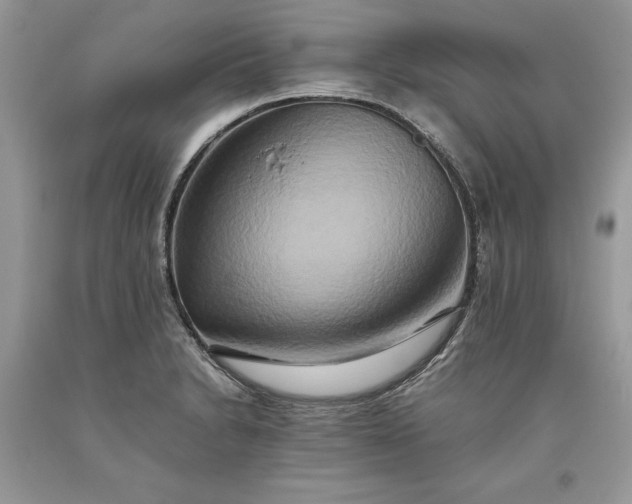 X0000093511230200710261150