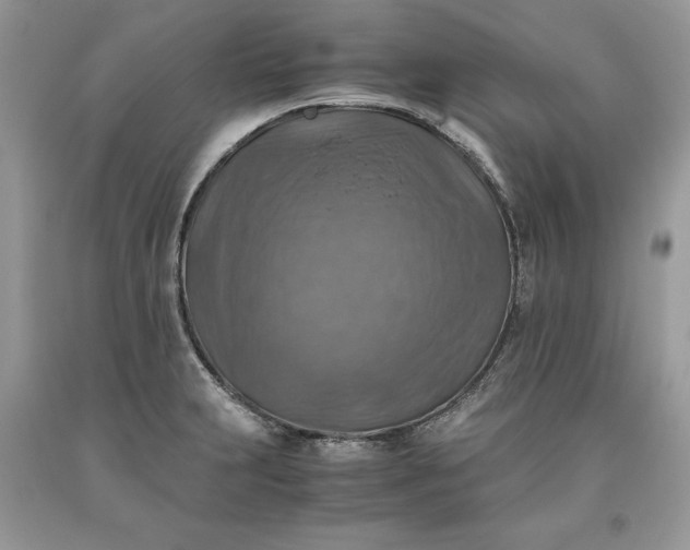 X0000093511231200710261150