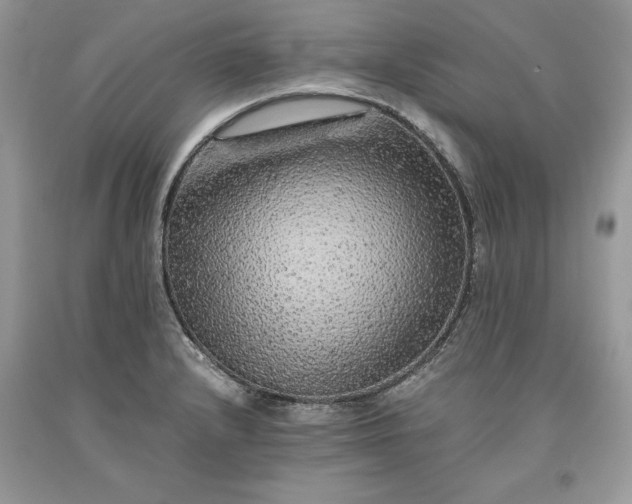 X0000093511232200710261150