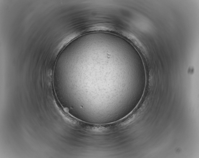 X0000093511233200710261150