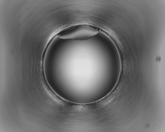 X0000093511234200710261150