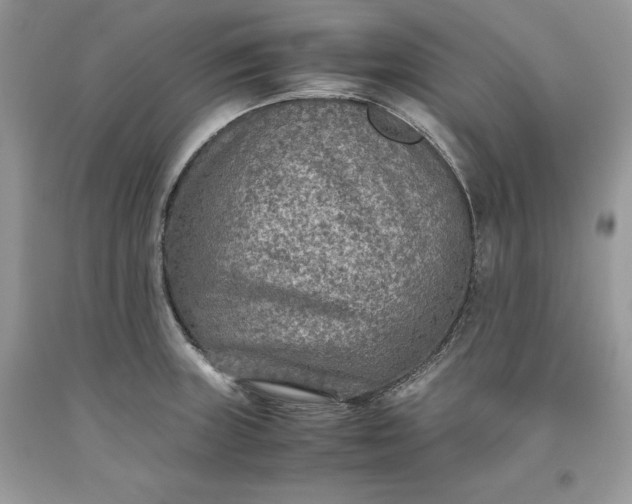 X0000093511235200710261150