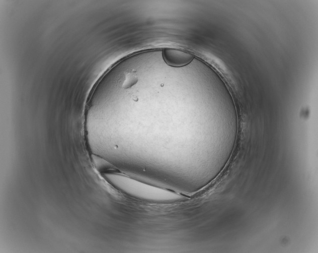 X0000093511236200710261150