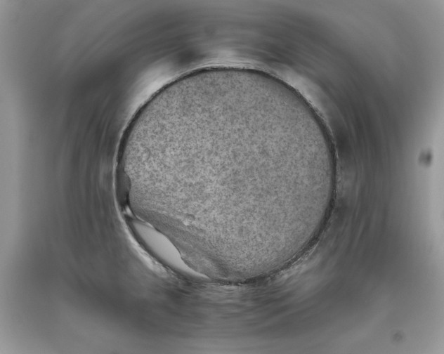 X0000093511237200710261150