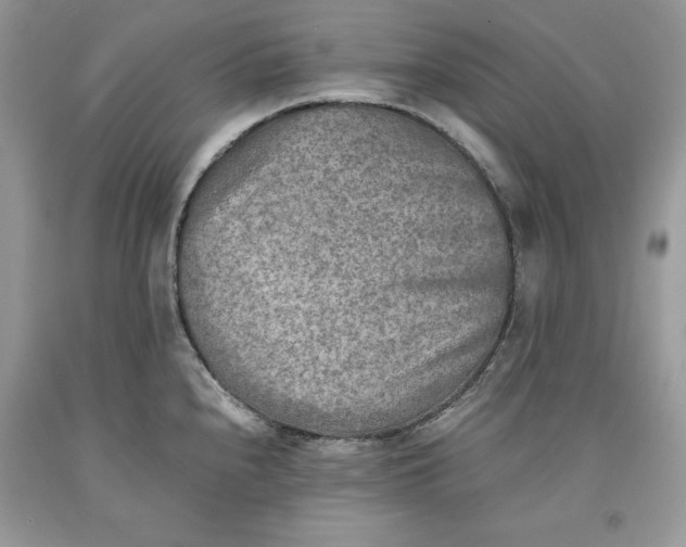 X0000093511240200710261150