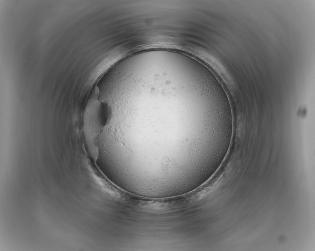 X0000093511241200710261150
