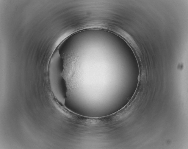 X0000093511242200710261150