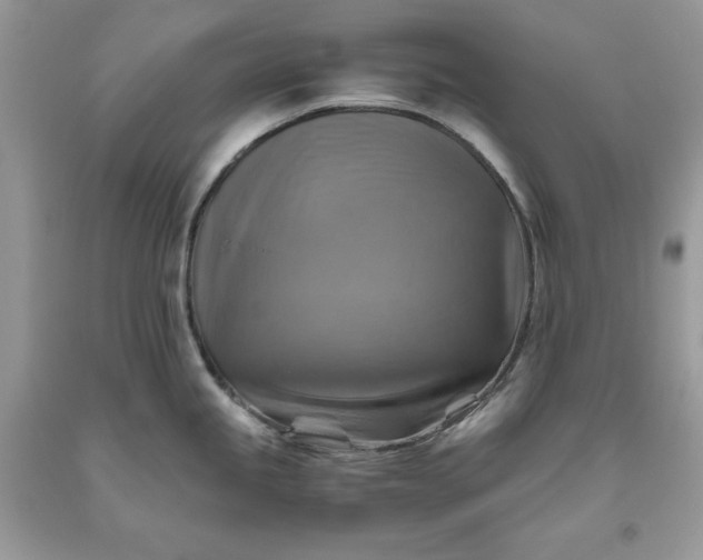 X0000093511245200710261150