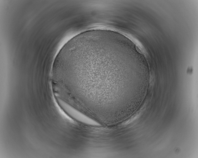 X0000093511247200710261150