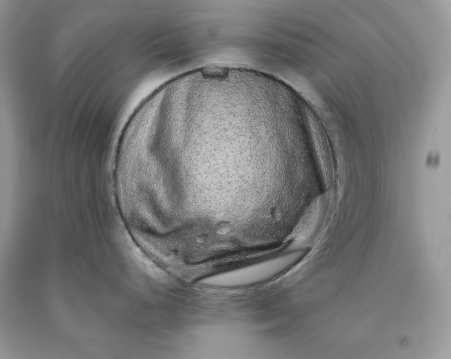 X0000093511248200710261150