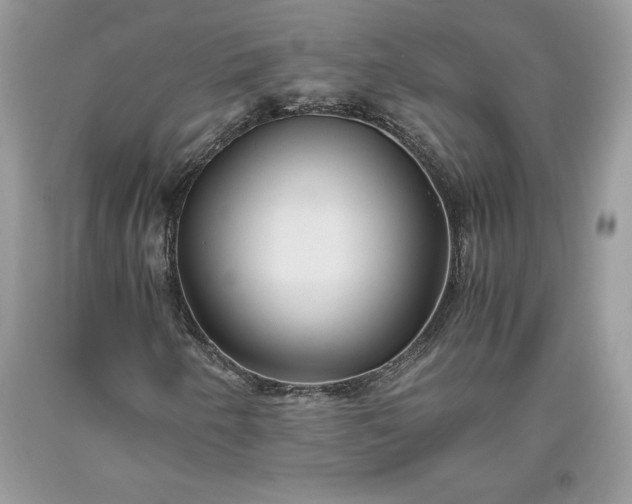 X0000093511250200710261149