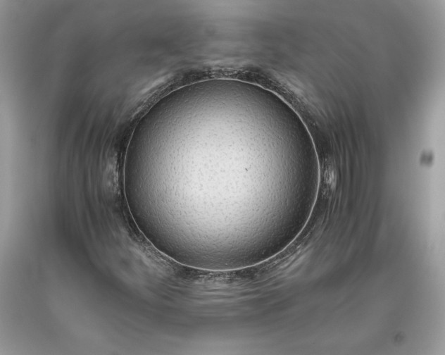X0000093511252200710261149